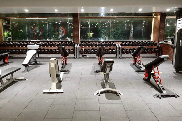 Ozi Gym & Spa : Chandigarh Sector-35