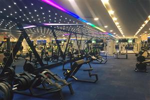 Ozi Gym & Spa : Phase 8, Mohali 