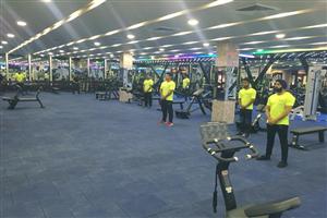 Ozi Gym & Spa : Phase 8, Mohali 