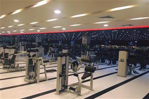 Ozi Gym & Spa : Phase 8, Mohali 