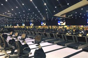 Ozi Gym & Spa : Phase 8, Mohali 