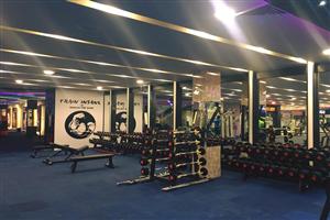 Ozi Gym & Spa : Phase 8, Mohali 