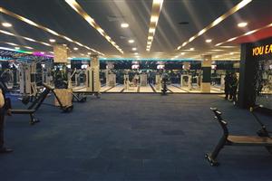 Ozi Gym & Spa : Phase 8, Mohali 