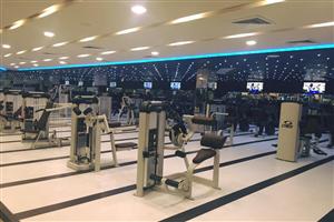 Ozi Gym & Spa : Phase 8, Mohali 