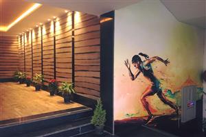 Ozi Gym & Spa : Phase 8, Mohali 