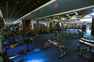 Ozi Gym & Spa | Phase 9 Mohali