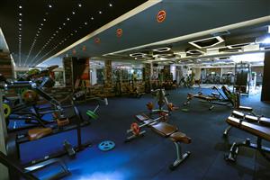 Ozi Gym & Spa | Phase 9 Mohali